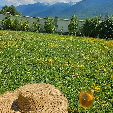 радост Radost Razlog