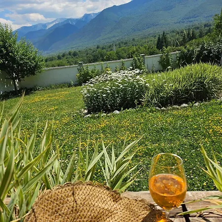 Chaletu радост Radost *