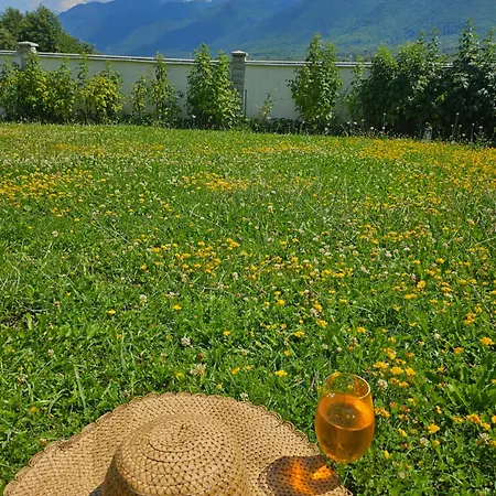 радост Radost Chalet *