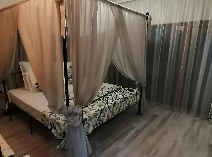 샬레 радост Radost 라즐로그