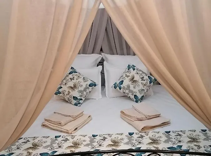 радост Radost 라즐로그