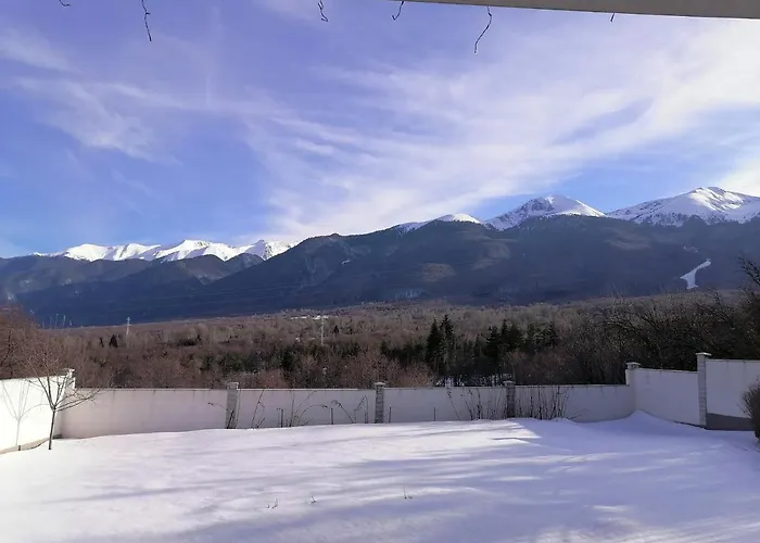 радост Radost 샬레