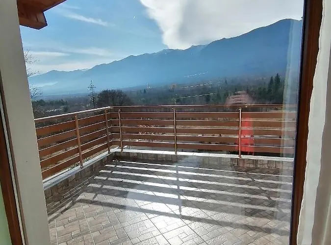 샬레 радост Radost 라즐로그