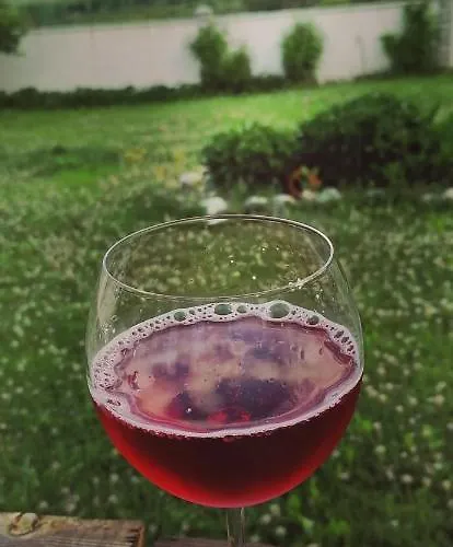 샬레 радост Radost *