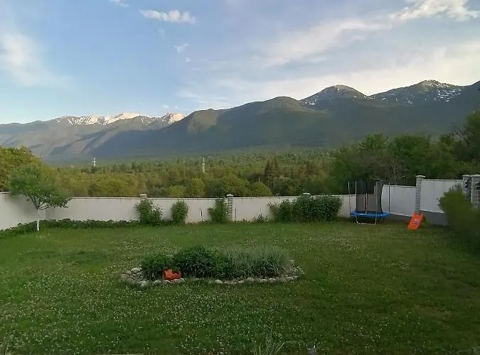 радост Radost * 라즐로그