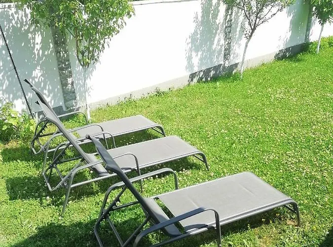 радост Radost 라즐로그