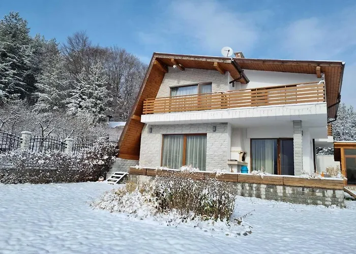 샬레 радост Radost 라즐로그