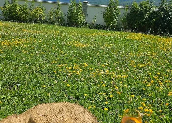 радост Radost 라즐로그