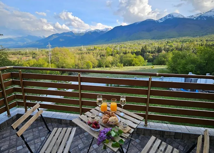 радост Radost 샬레 라즐로그