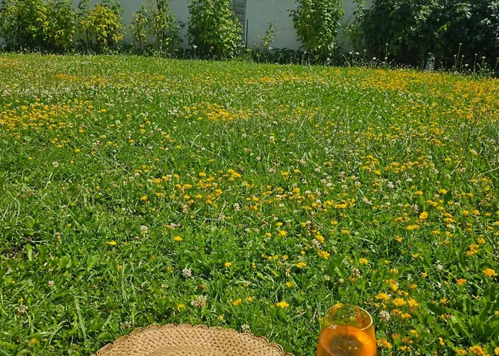 радост Radost Chalé *